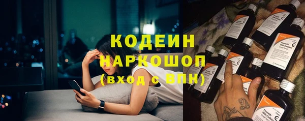 индика Майский