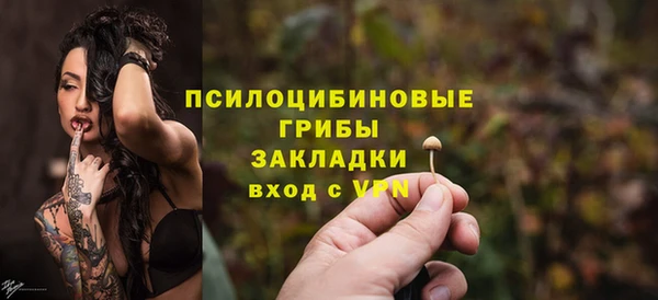 прущий лед Магас