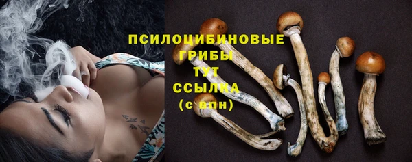 прущий лед Магас